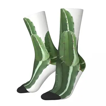 Винтажные мужские носки с кактусом Унисекс, Новинка, Бесшовные носки с забавным принтом, подарок для экипажа