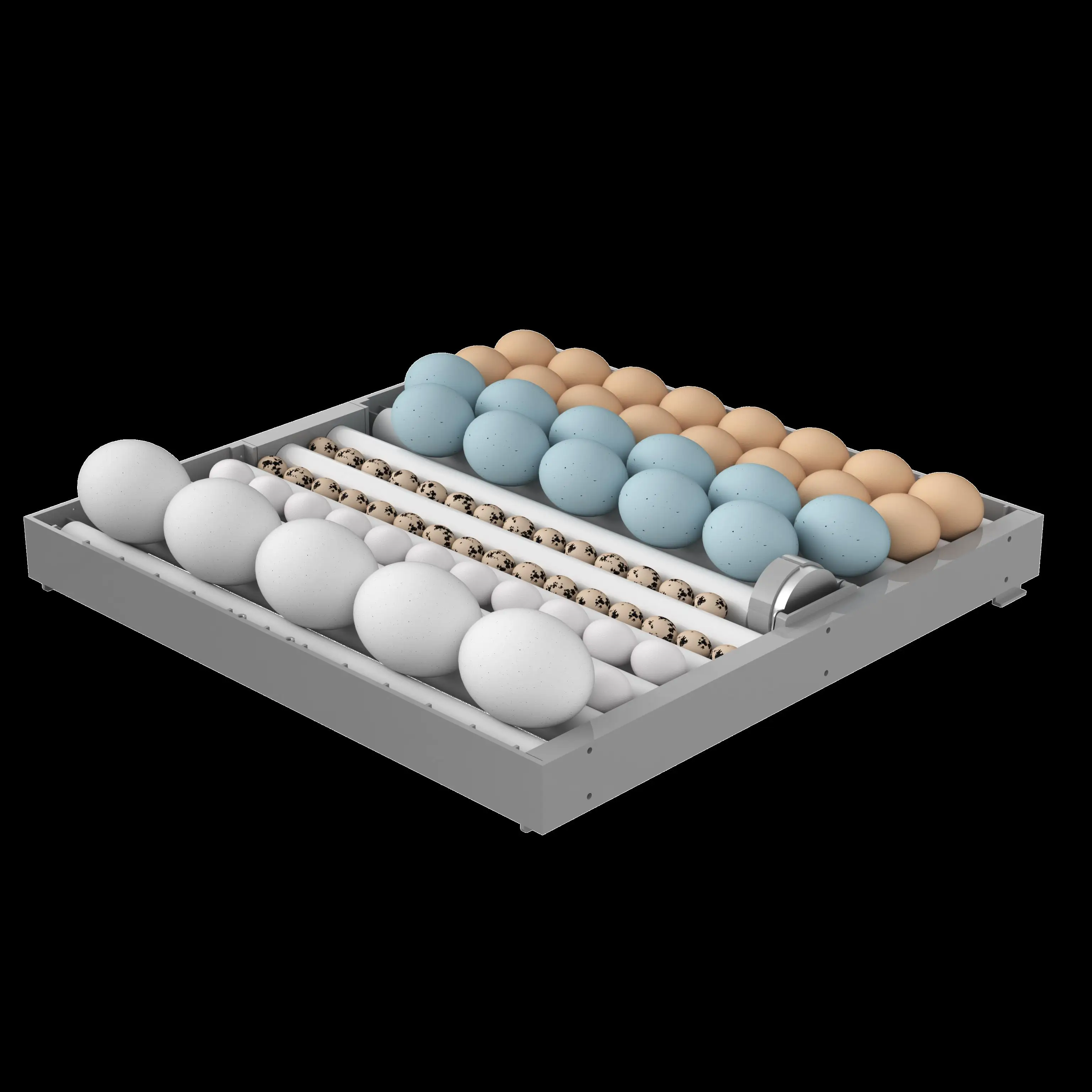 Автоматическая машина для инкубации куриных яиц в выдвижном ящике Машина для вылупления яиц 2