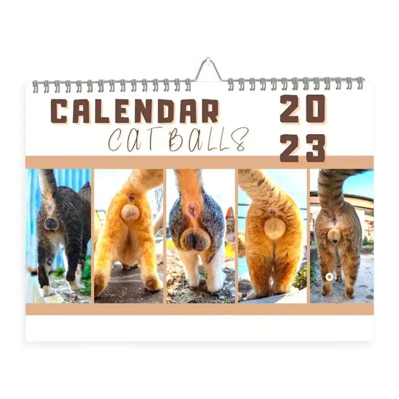 Настенный календарь на 2023 год на 12 месяцев Забавный Кошачий Календарь С января 2023 года По декабрь 2023 года Милое Планирование Организация Ежедневного Планировщика Настенный Ежемесячный